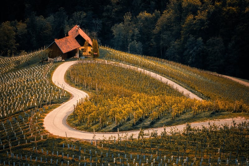 Modern Exploration